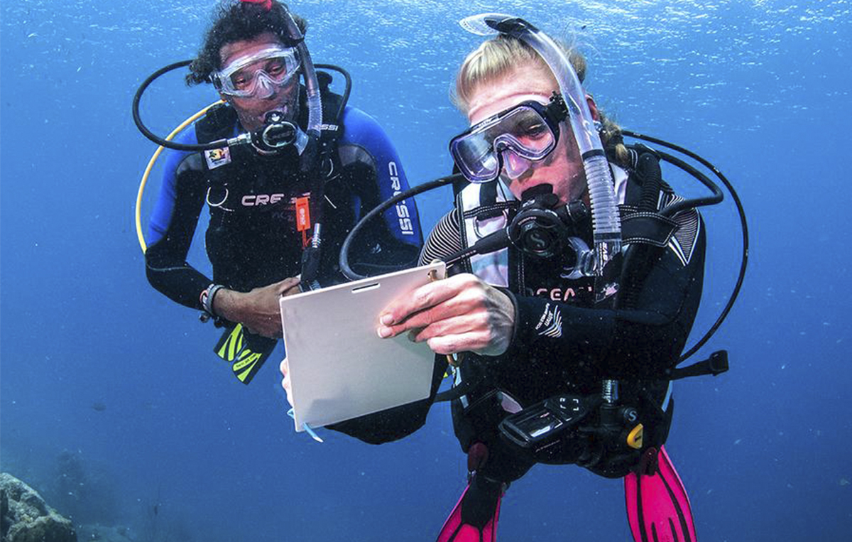 a sea photo