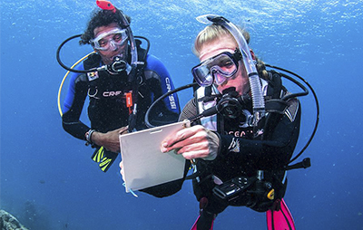 PADI IDC Internship